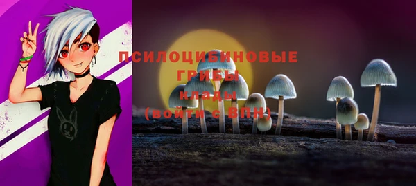 MESCALINE Аркадак
