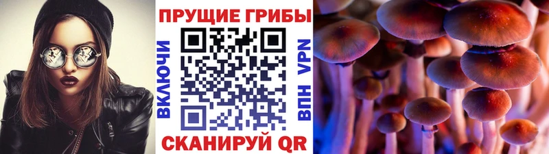 kraken вход  купить наркоту  Соль-Илецк  Галлюциногенные грибы ЛСД 